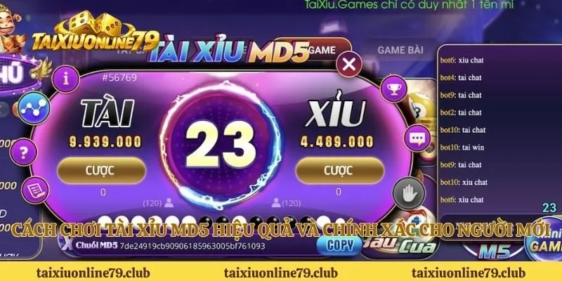 Cách chơi tài xỉu MD5