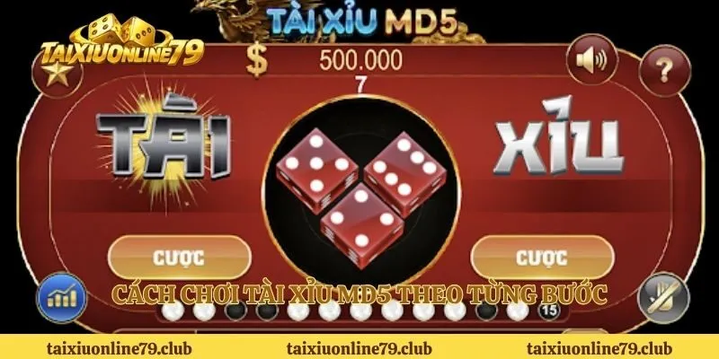 Cách chơi tài xỉu MD5 theo từng bước