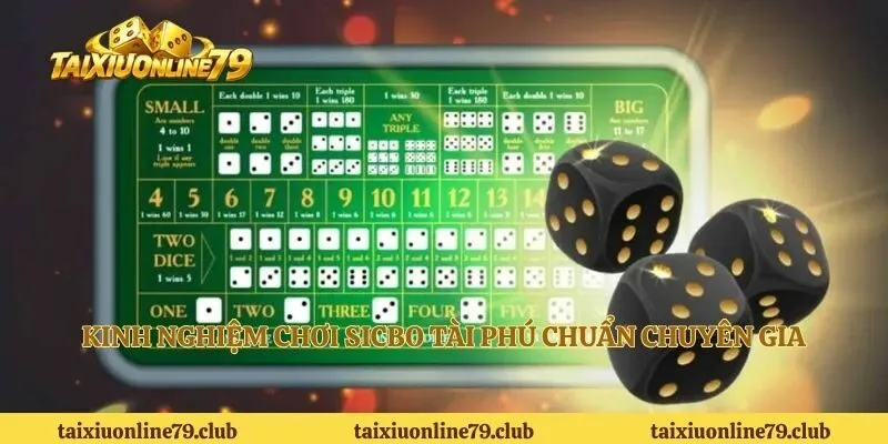 Kinh nghiệm chơi sicbo tài phú chuẩn chuyên gia