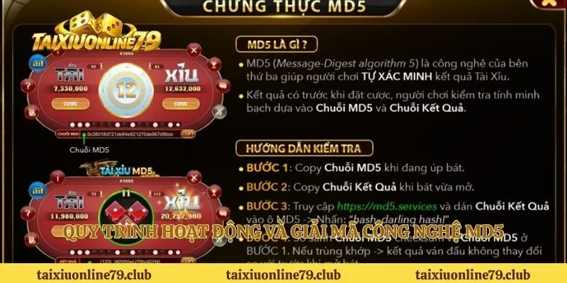 Quy trình hoạt động và giải mã công nghệ MD5